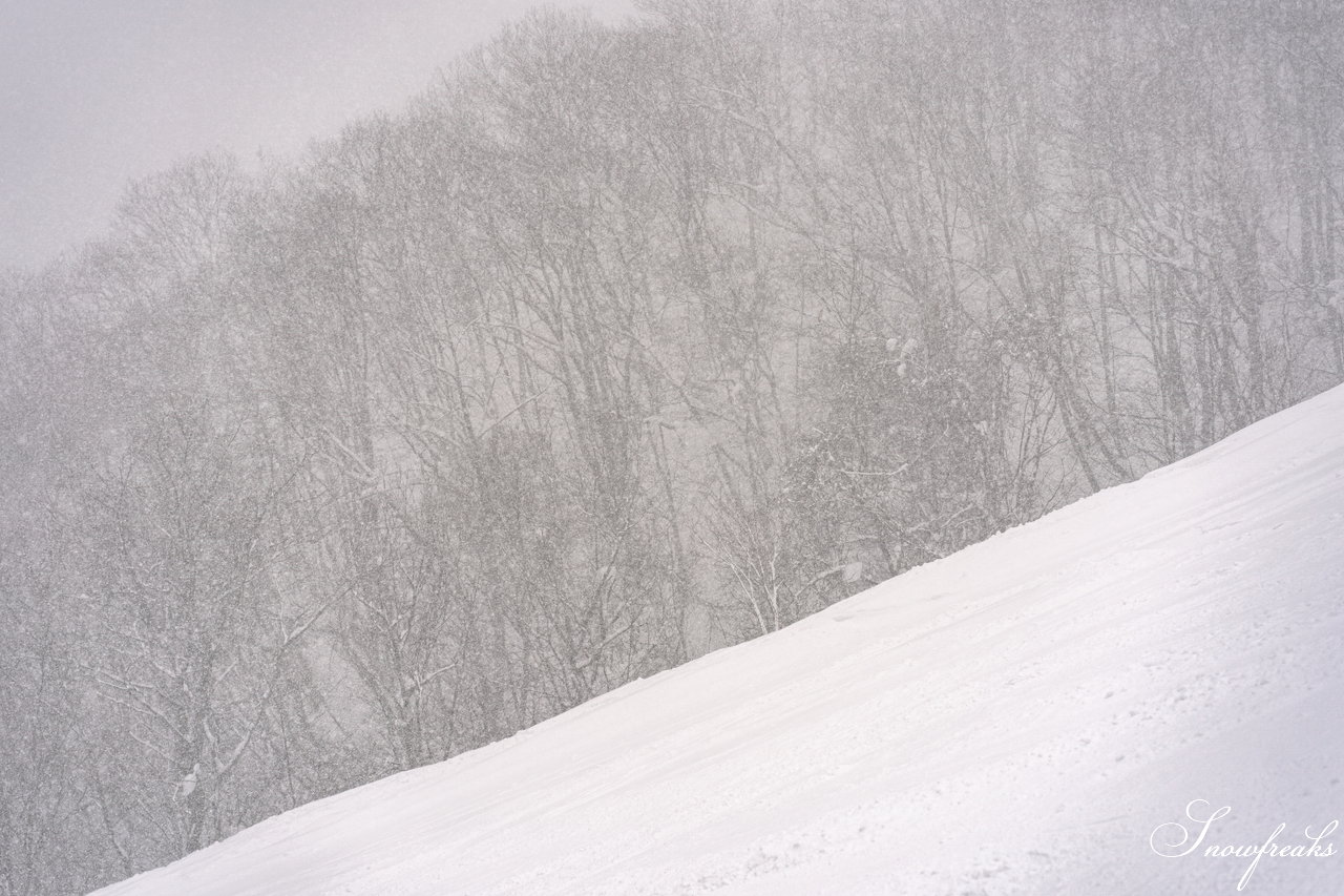 朝里川温泉スキー場｜新年あけましておめでとうございます。2022年最初のレポートは、新春寒波のおかげで大雪＆猛吹雪！